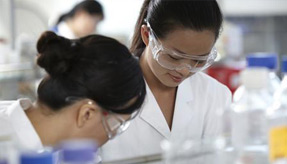 漯河伟业金漯红